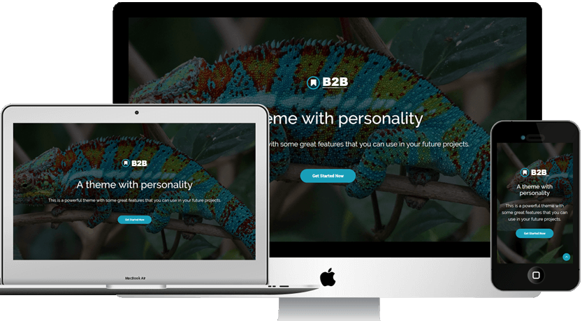 WebleadsB2B - A perfect theme